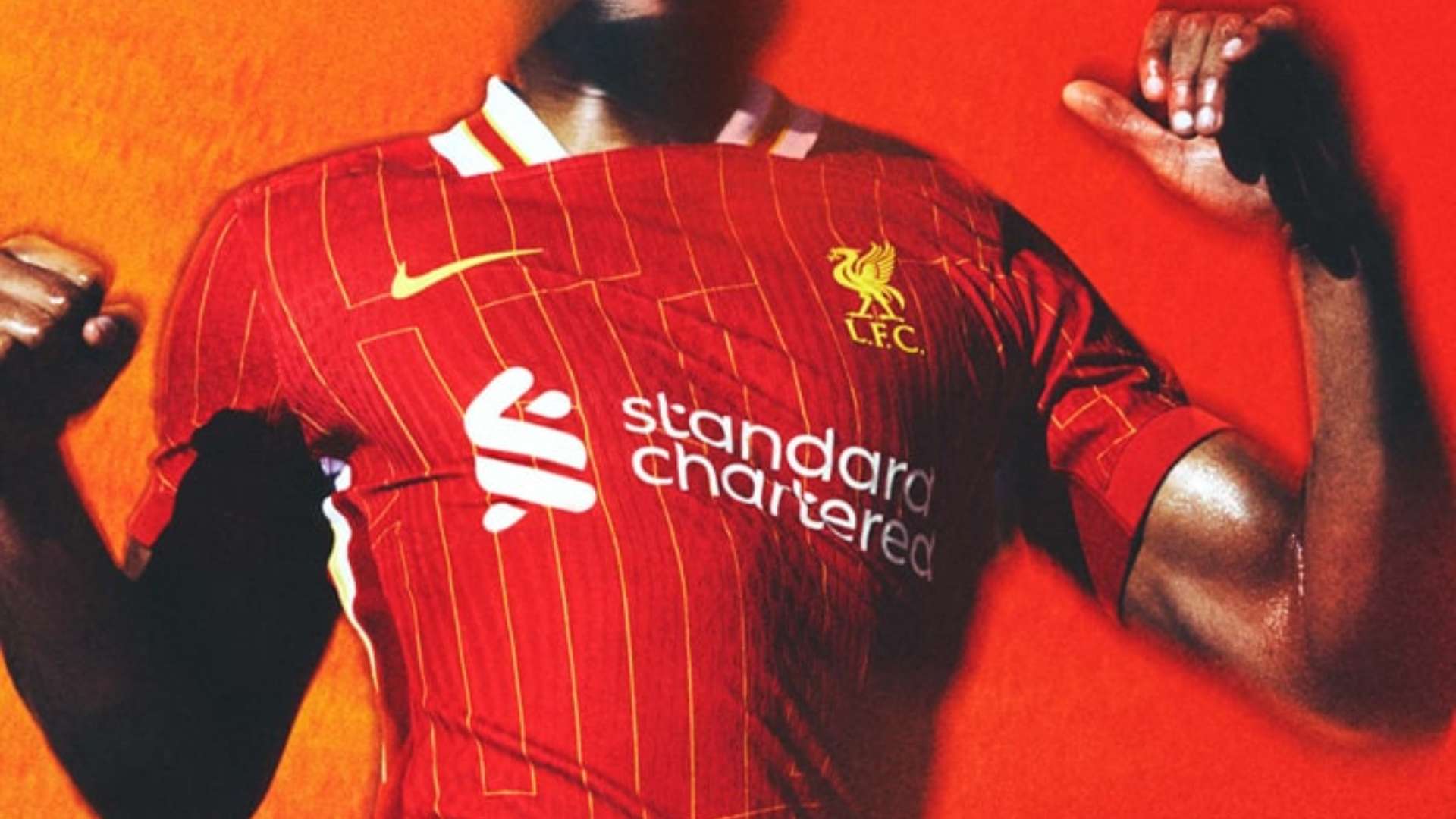 在这个全球 在这个全球