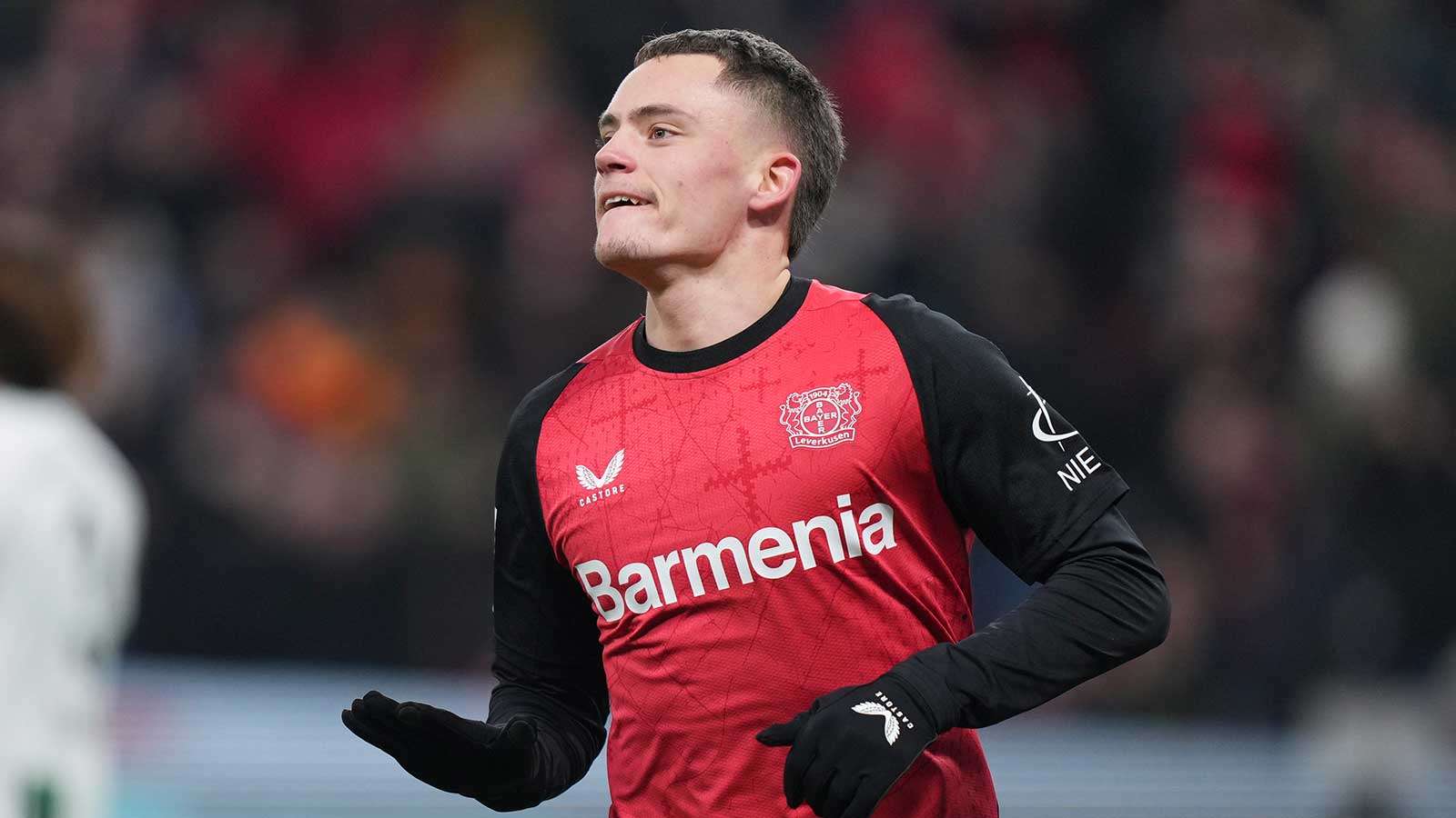 理解让他在 理解让他在