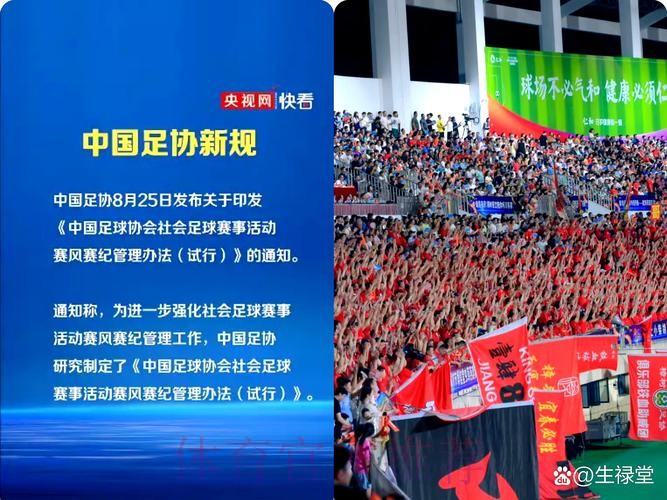 中国足协召开第十届第九次执委会:逐步完善组织职能 纵深推进体系改革 中国足协召开第十届第九次执委会:逐步完善组织职能 纵深推进体系改革